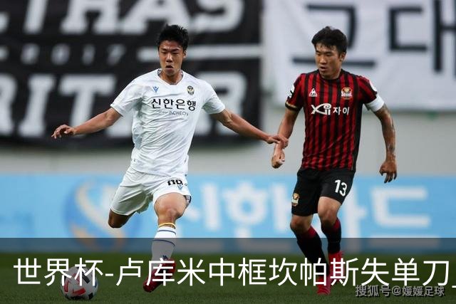 世界杯-卢库米中框坎帕斯失单刀 瑞士平哥伦比亚进点球