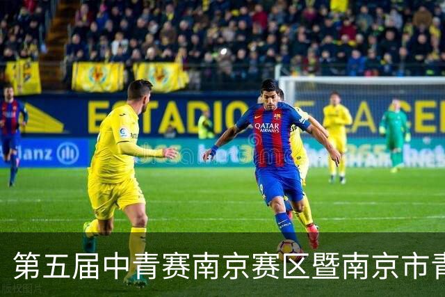 第五届中青赛南京赛区暨南京市青少年足球联赛男子U15组收官